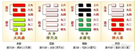 鼎卦|周易第50卦